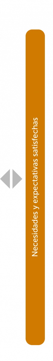 Mapa de Procesos Necesidades y expectativas satisfechas
