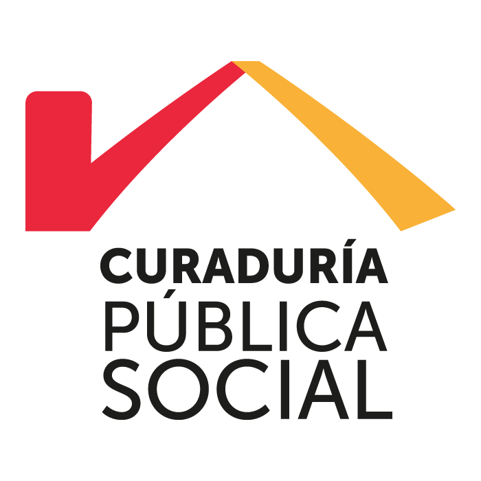 Curaduría pública social