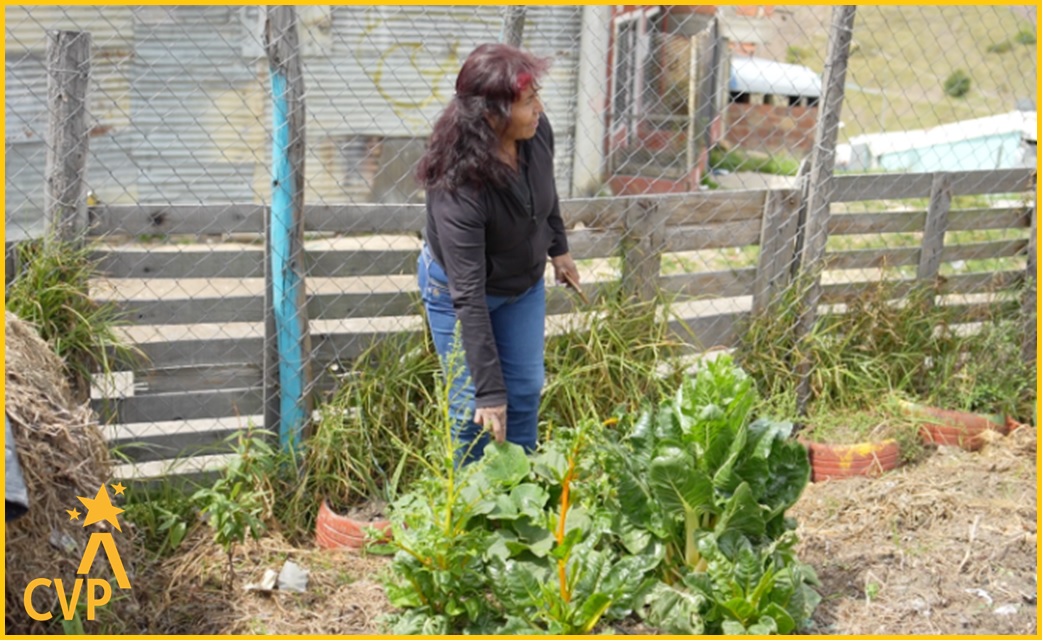 Huerta comunitaria y costura el legado de María Edilma en Bella Flor 2024 Foto 2
